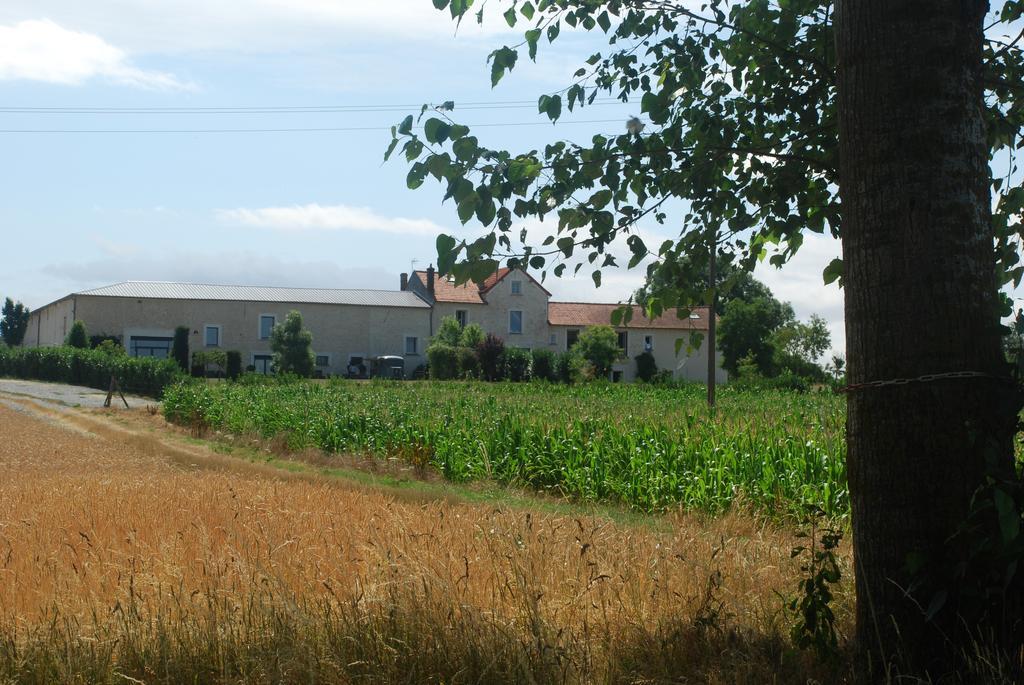 Ferme du Grand Hotel du Bois Jouarre Exterior foto